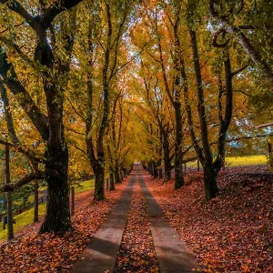  Villa Country Estate Australia
